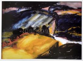 Szüts Vojnich. Szerk.: Parti Nagy Lajos. Szüts Miklós (1945-) festőművész, tervezőgrafikus, és feles...