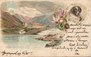 1899 St Bernhard Litho