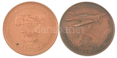 Bozó Gyula (1913-2004) 1989. "George Bush látogatása Magyarországon" kétoldalas bronz emlé...