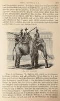 Friedrich von Hellwald: Hinterindische Länder und Völker. Reisen in den Flussgebieten des Irrawaddy ...