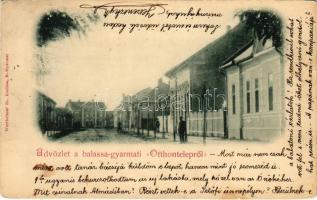 1902 Balassagyarmat, Otthontelep. Wertheimer Zs. kiadása (EB)