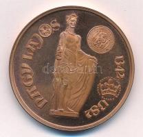 Fritz Mihály (1947- ) 1992. "Nagy Lajos 1342-1382 / Székesfehérvár - MÉE 1992" bronz emlék...