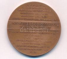 Bozó Gyula (1913-2004) 1994. "Nemzeti Engesztelő Zarándoklat / Fatimai szentély Szűzanya szobra" bronz emlékérem (42,5mm) T:AU