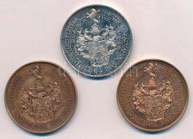 Fűz Veronika (1951-) " Mészáros Lázár 1848-as tábornok / Földi maradványai bajai temetésének ti...