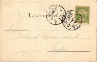 1903 Tordai-hasadék, Cheile Turzii, Torda, Turda; Rákóczi-barlang / cave, gorge (EK)