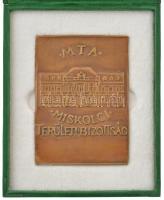 2009. MTA Miskolci Területi Bizottság egyoldalas, öntött bronz plakett, 30 éves a Magyar Tudományos Akadémia - Miskolci Területi Bizottsága matricás tokban (92x67mm) T:AU