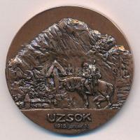 Bartos Endre (1930-2006) 2005. "Csermák Mihály ezredes 1868-1915 - Az uzsoki hős - Bajai Éremta...