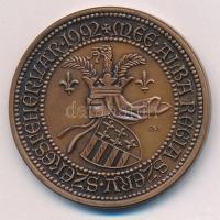 Fritz Mihály (1947-) 1992. "MÉE Székesfehérvár - Károly Róbert" bronz emlékérem (42,5mm) T...