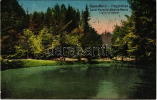 Nagybánya, Baia Mare; Lacul Parcului Regina Maria / Ligeti tó / lake + "1940 Nagybánya visszatért" So. Stpl. (fa)