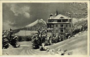 Tátralomnic, Tatranská Lomnica (Tátra, Magas-Tátra, Vysoké Tatry); Palota szálloda télen / hotel in winter (EK)