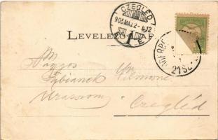 1905 Fülek, Filakovo; várrom. Fénynyomat Divald műintézetéből / Filakovsky hrad / castle ruins (EK)