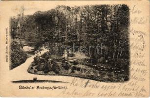 1905 Stubnyafürdő, Túróchévíz, Stubnianske Teplice, Turcianske Teplice; park. Braun Ármin kiadása / park (fl)