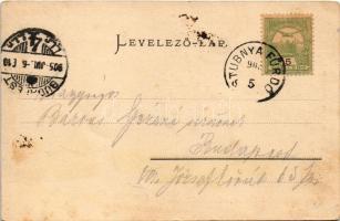 1905 Stubnyafürdő, Túróchévíz, Stubnianske Teplice, Turcianske Teplice; park. Braun Ármin kiadása / ...