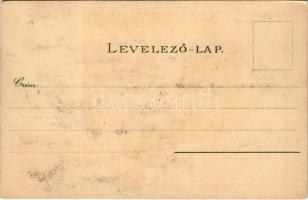 Dévény, Theben a. d. Donau, Devín (Pozsony, Pressburg, Bratislava); Dévényi vár és Árpád emlék / cas...