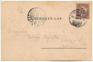 1901 Szentágota, Agnetheln, Agnita; Marktplatz, Hotel Agnetha / Piactér, üzletek, Agnetha szálloda /...