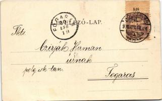 1900 Sebesvár, Bologa (Kissebes, Poieni); Sebes vár romjai. Dunky Fivérek cs. és kir. udvari fénykép...