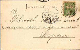 1903 Zsombolya, Hatzfeld, Jimbolia; utca. Perlstein F. kiadása / street view (ázott / wet damage)