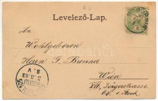 1903 Soborsin, Savarsin; Gróf Hunyadi kastélya, Erzsébet királyné (Sissi) szobor, Római katolikus te...