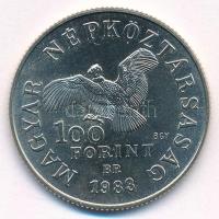 1983. 100Ft Cu-Ni-Zn "Simon Bolivár" T:UNC Adamo EM73