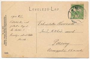 1910 Nagyszentmiklós, Sannicolau Mare; Takarékpénztár, Fried Ede és Társa üzlete. W.L. 1276. Kiadja ...