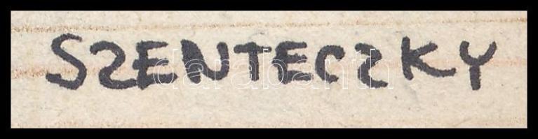 Szenteczky (Szenteczki) Csaba: Corvus Faligula Urbico (cocco). Ceruza, papír. Jelzett, a hátoldalon ...