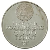 2003. 5000Ft Ag "A Rákóczi szabadságharc 300. évfordulója" dísztokban, tanúsítvánnyal, sérült kapszulában T:PP ujjlenyomat, patina Adamo EM186