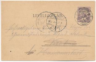 1900 Görgénysóakna, Görgény-Sóakna, Jabenita (Maros); gyógyfürdő / spa, baths. Art Nouveau, floral (...