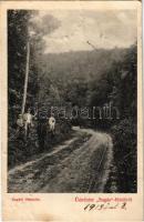 1913 Sugásfürdő, Baile Sugas (Sepsiszentgyörgy, Sfantu Gheorghe); Sugási út részlet / road (felületi sérülés / surface damage)