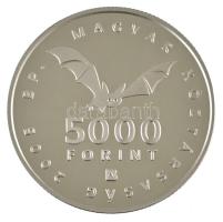 2005. 5000Ft Ag "Az Aggteleki-karszt barlangjai" dísztokban, tanúsítvánnyal T:PP 
Adamo E...