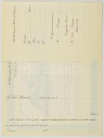 Amerikai Egyesült Államok ~1890. "Washington-hegy Vasút Társaság" kitöltetlen részvényelis...