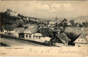 1906 Segesvár, Schässburg, Sighisoara; látkép. Teutsch kiadása / general view (EK)