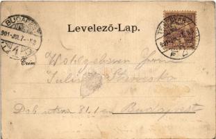 1901 Temesvár, Timisoara; Zápolya utca, Lenz J. kávéháza, szálloda, üzletek / street view, café and ...