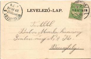 1902 Temesvár, Timisoara; Hunyadi út. Moravetz Gyula kiadása / street view (vágott / cut)