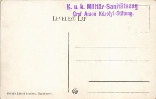 Nagykároly, Carei; Gróf Károlyi kastély, park részlet. Csókás László kiadása / castle park + "K...