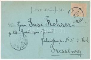 1899 (Vorläufer) Poroszka, Pruszka, Pruské; Königsegg gróf kastélya. A Vág völgye. Gansel Lipót 2M /...