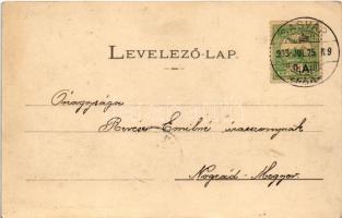 1903 Sasvár, Sassin, Sastín (Sasvár-Morvaőr, Sastín-Stráze); Piactér. Emánuel J. kiadása / Marktplat...