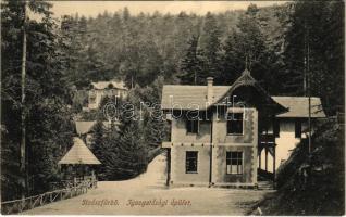 Stószfürdő, Stoósz-fürdő, Kúpele Stós; Igazgatósági épület. Wlaszlovits Gusztáv kiadása / spa directorate building