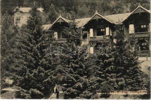 Stószfürdő, Stoósz-fürdő, Kúpele Stós; Hungária szálloda, nyaraló. Wlaszlovits Gusztáv kiadása / spa hotel, villa