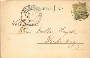 1905 Tátrafüred, Ótátrafüred, Bad Altschmecks, Stary Smokovec (Magas-Tátra, Vysoké Tatry); Nagyszáll...