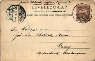 1901 Alsótátrafüred, Unter-Schmecks, Dolny Smokovec (Magas-Tátra, Vysoké Tatry); Feitzinger Ede 40 b...