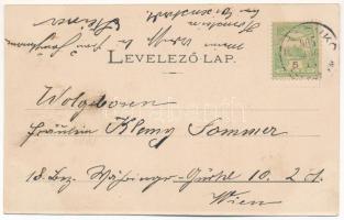 1905 Szarvkő, Hornstein; Fürstl. Esterházy'sches Herrschaftshaus, Handlung Márold, Pfarrkirche,...