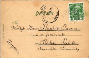 1909 Gross-Enzersdorf, Groß-Enzersdorf; Kasern-Tor, Altes Rathaus, Siebfrauen-Kirche, Lobau. A. Schw...