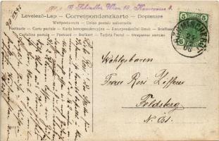 1906 Großkrut, Böhmischkrut, Grosskrut; horse-drawn carriage. R. Schindler (Wien) photo