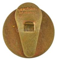 1927. "Országos Jegyző Egyesület 1877-1927" zománcozott gomblyukjelvény, "MORZSÁNYI&q...