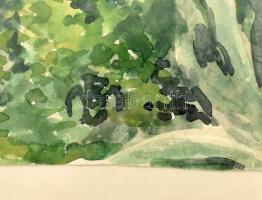 gróf Bolza Marietta (1911-1996): Vízparti táj. Akvarell, papír. Jelzés nélkül. Plexiüvegezett fakere...