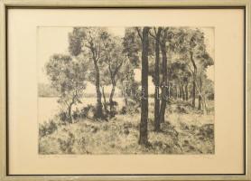 Biai-Föglein István (1905-1974): Rét a víz mellett. Rézkarc, papír, jelzett, üvegezett fakeretben, 29×39 cm