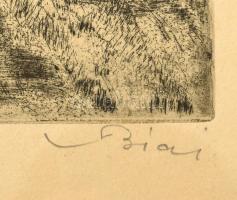 Biai-Föglein István (1905-1974): Rét a víz mellett. Rézkarc, papír, jelzett, üvegezett fakeretben, 2...