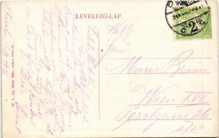 1916 Pécs, látkép. W.L. Bp. 6816. (EK)