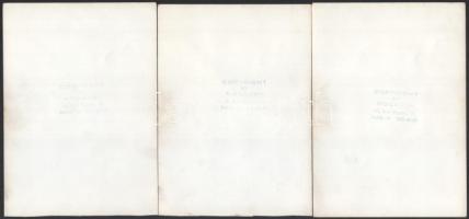 cca 1960 Hölgyről készült művészfotók, 5 db Nogrady párizsi műterméből (Photo Nogrady - Paris), egyi...