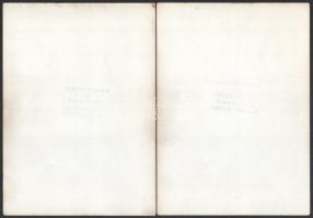 cca 1960 Hölgyről készült művészfotók, 5 db Nogrady párizsi műterméből (Photo Nogrady - Paris), egyi...